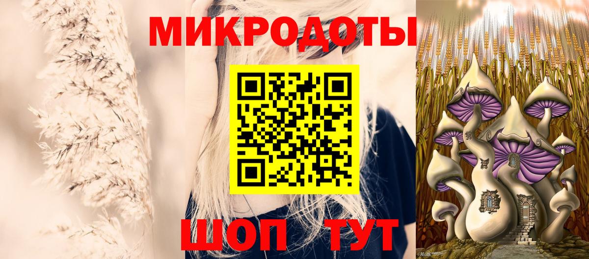 Псилоцибиновые грибы Psilocybine cubensis Узловая
