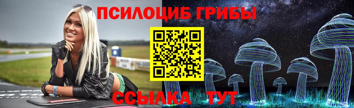 Псилоцибиновые грибы MAGIC MUSHROOMS  Галлюциногенные грибы Cubensis  Вход с VPN  Узловая 